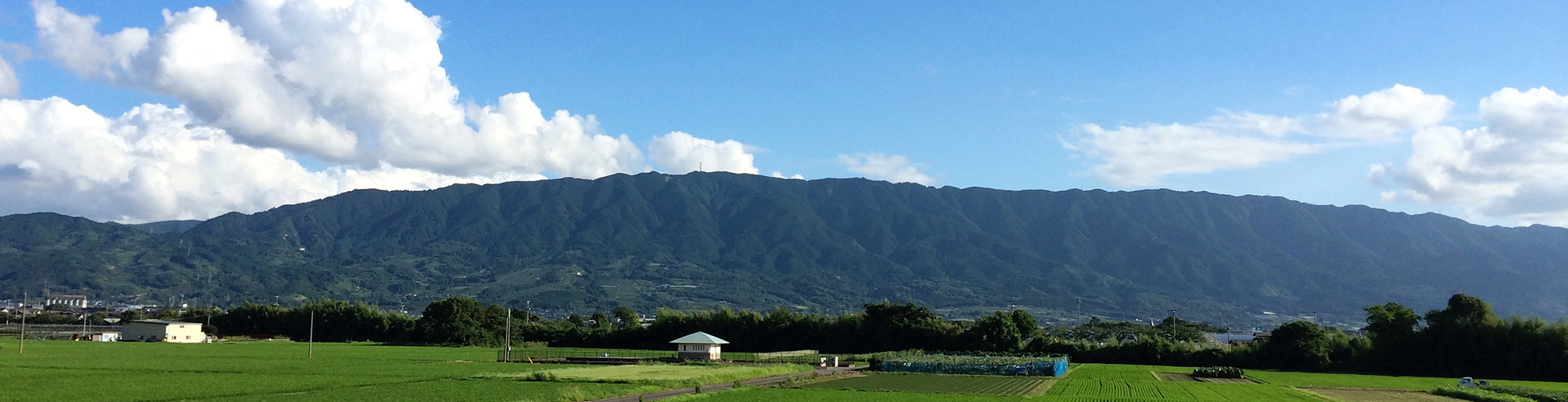 筑後の好い品（お土産・名産品・特産品の販売） ちっごたる