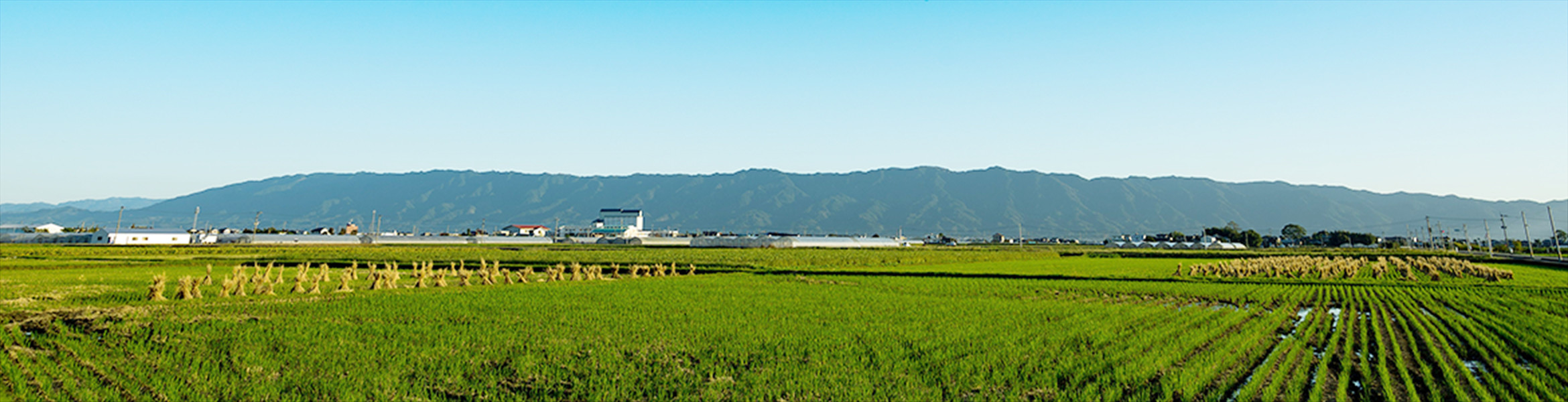 筑後の好い品（お土産・名産品・特産品の販売） ちっごたる